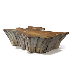 Teak Root Coffee Table