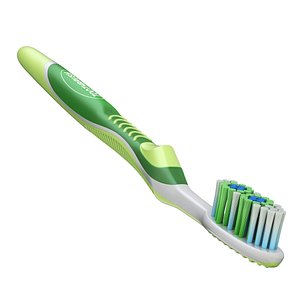 3D model tooth brush toothbrush