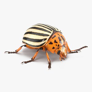 colorado potato beetle 3d 3ds