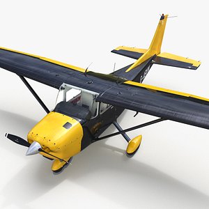 Private Airplane Cessna 172 Rigged for Cinema 4D 3D model