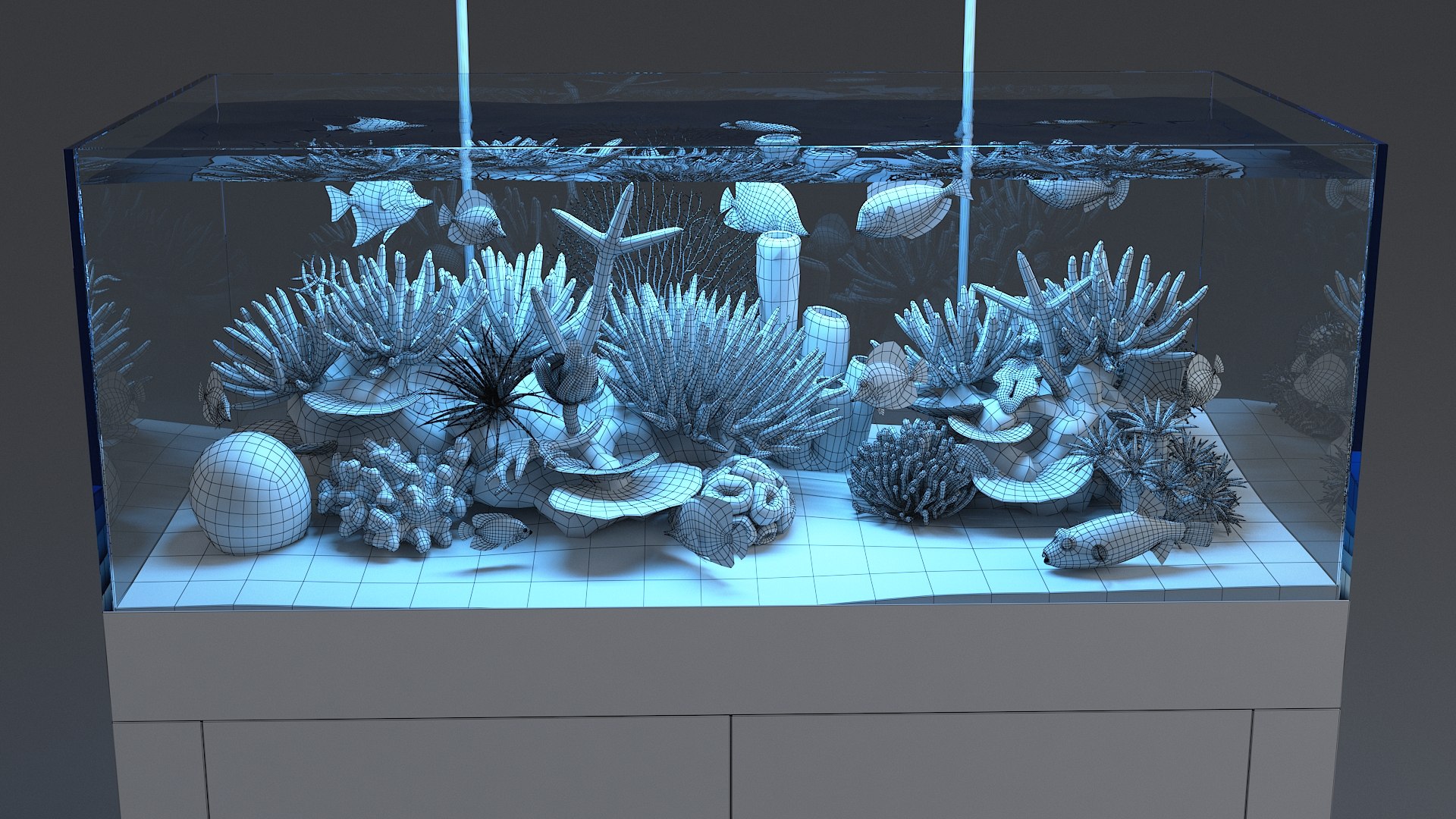 3D aquarium 01 model https://p.turbosquid.com/ts-thumb/Me/ceiJtP/3aTtBMc9/aquafirst_23/jpg/1579855668/1920x1080/fit_q87/be51b67bbaec510ffeb5d7c3ae36450451070330/aquafirst_23.jpg