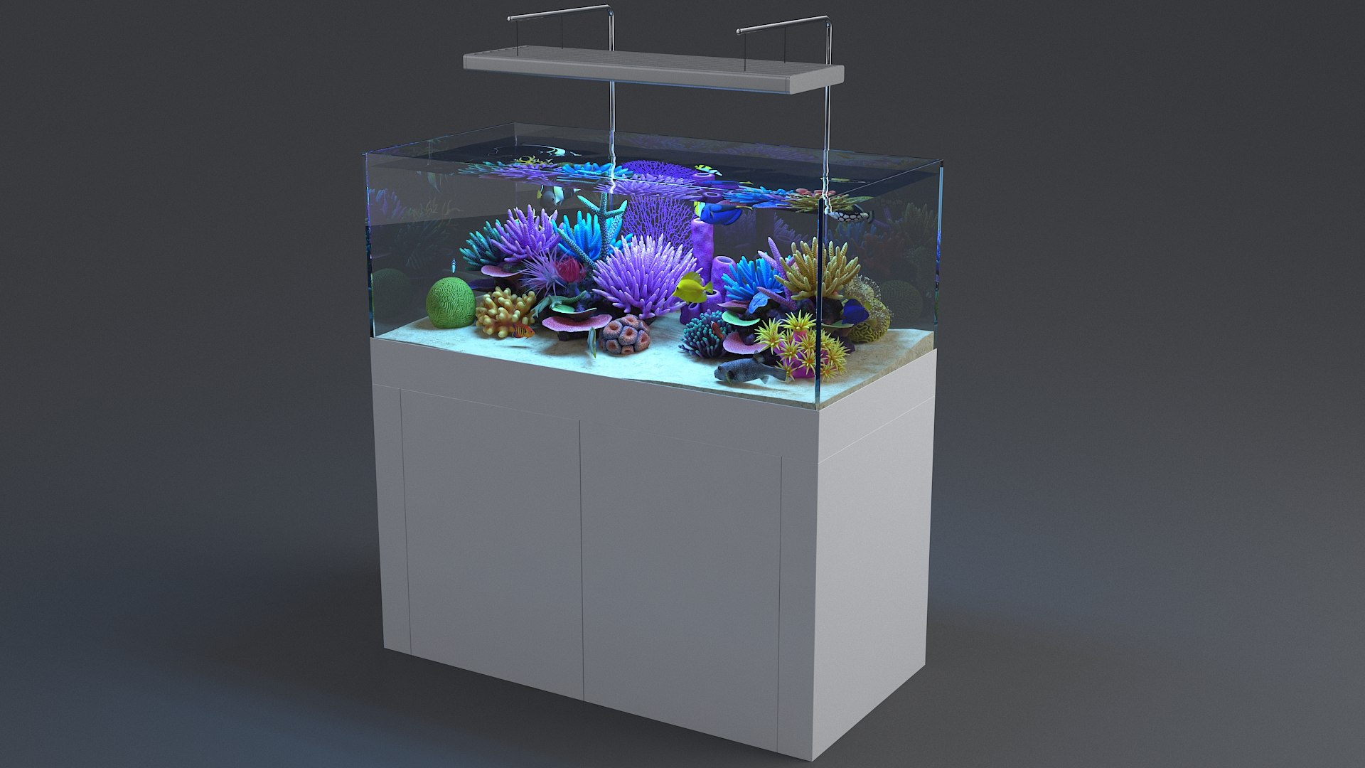 3D aquarium 01 model https://p.turbosquid.com/ts-thumb/Me/ceiJtP/61IHbO0i/aquafirst_04/jpg/1579855667/1920x1080/fit_q87/e65ecb6c6e3b01e220f11596e3de503acc40beb6/aquafirst_04.jpg