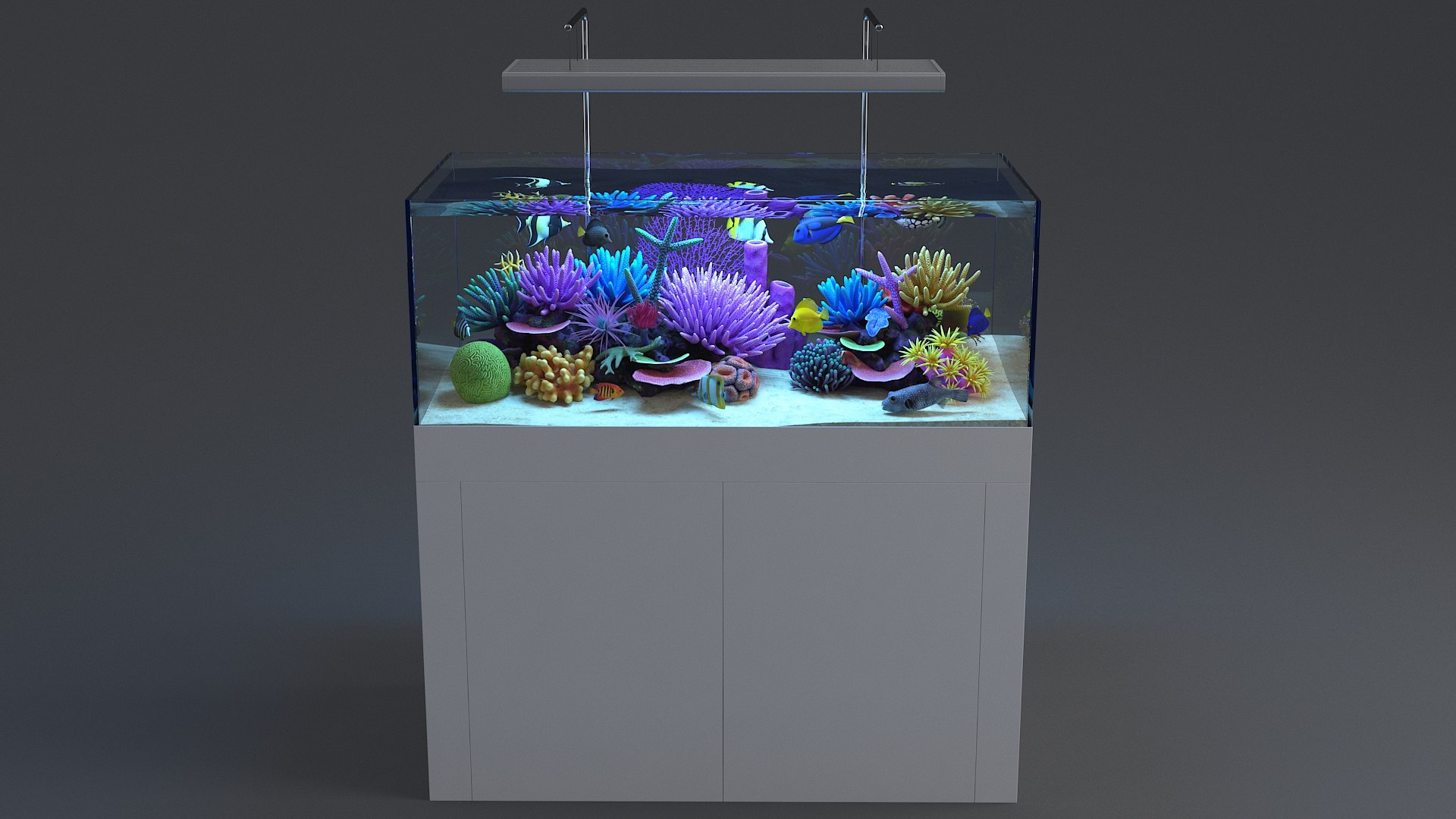 3D aquarium 01 model https://p.turbosquid.com/ts-thumb/Me/ceiJtP/8veBLYps/aquafirst_03/jpg/1579855667/1920x1080/fit_q87/780824731e67a1e47024a13f381f0e88ae8a2f9d/aquafirst_03.jpg