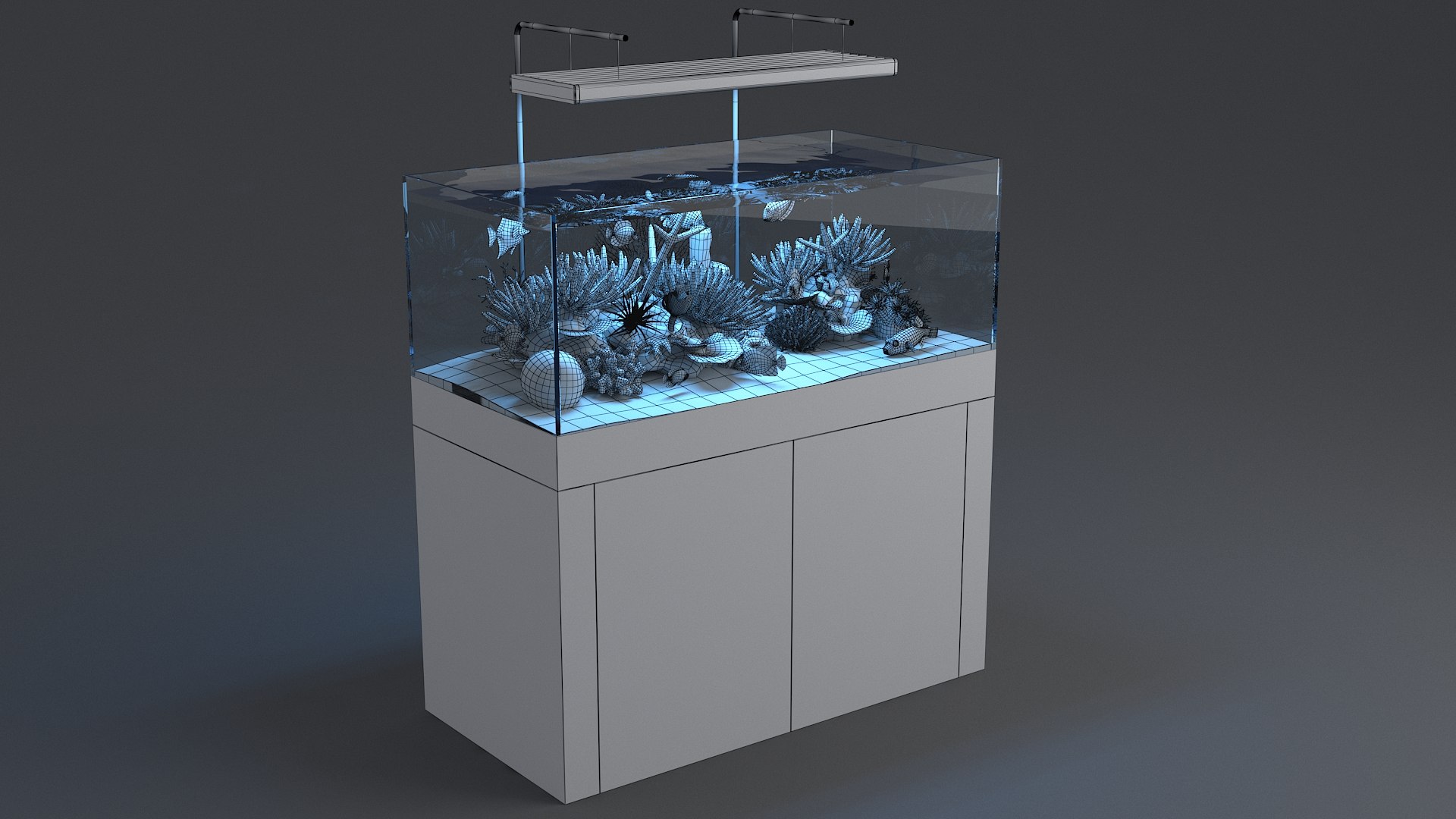 3D aquarium 01 model https://p.turbosquid.com/ts-thumb/Me/ceiJtP/AeKWjsH2/aquafirst_21/jpg/1579855668/1920x1080/fit_q87/eea654b9e8f6d7cf1633edfd5fd18b3e0f322fd5/aquafirst_21.jpg