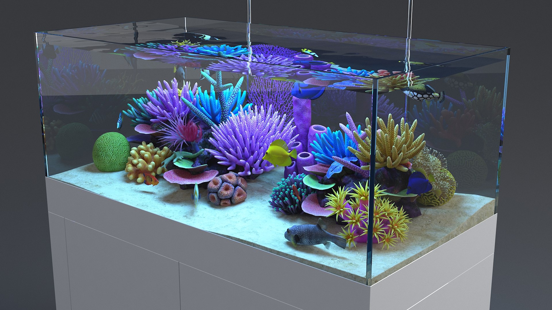 3D aquarium 01 model https://p.turbosquid.com/ts-thumb/Me/ceiJtP/DjznMLfd/aquafirst_11/jpg/1579855668/1920x1080/fit_q87/e73a7d224c4af3e44c3c83ddd66eedc37121f525/aquafirst_11.jpg
