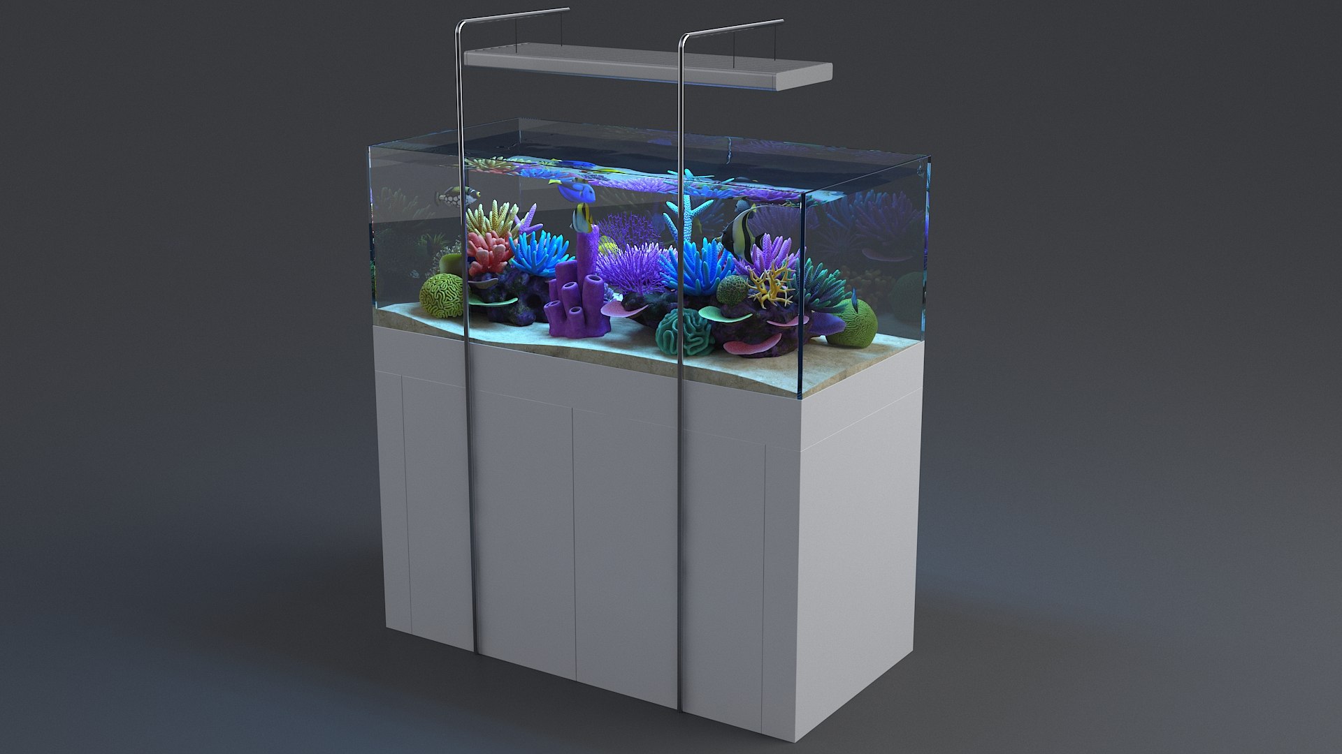 3D aquarium 01 model https://p.turbosquid.com/ts-thumb/Me/ceiJtP/FmTA2c6r/aquafirst_07/jpg/1579855667/1920x1080/fit_q87/a12fdb03dc7ada10aff6c4e7d441edc276b18d21/aquafirst_07.jpg