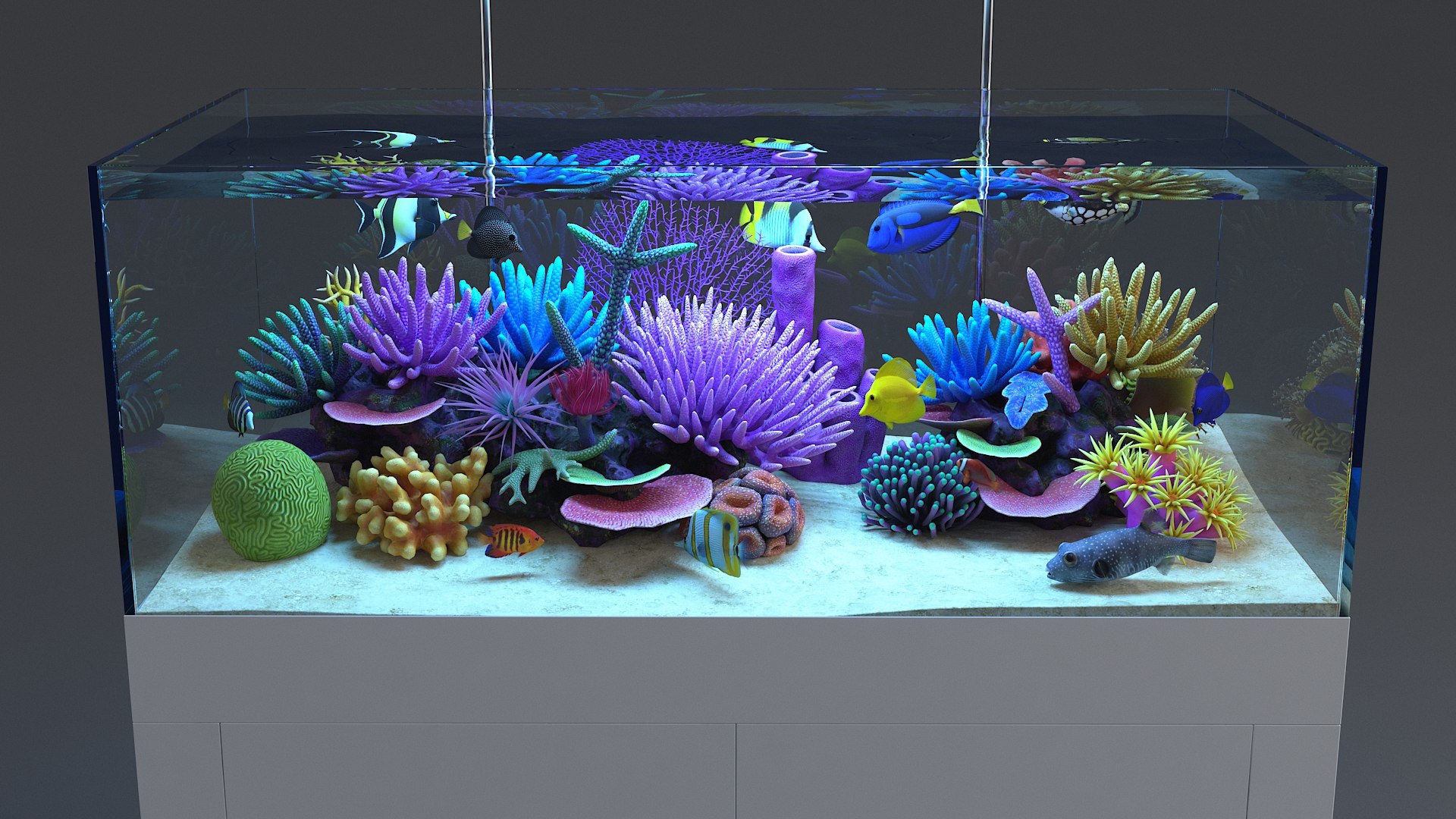 3D aquarium 01 model https://p.turbosquid.com/ts-thumb/Me/ceiJtP/HtKxEmIT/aquafirst_10/jpg/1579855667/1920x1080/fit_q87/71a6b74071233ab5bdc60ae29e82f94277394a2b/aquafirst_10.jpg
