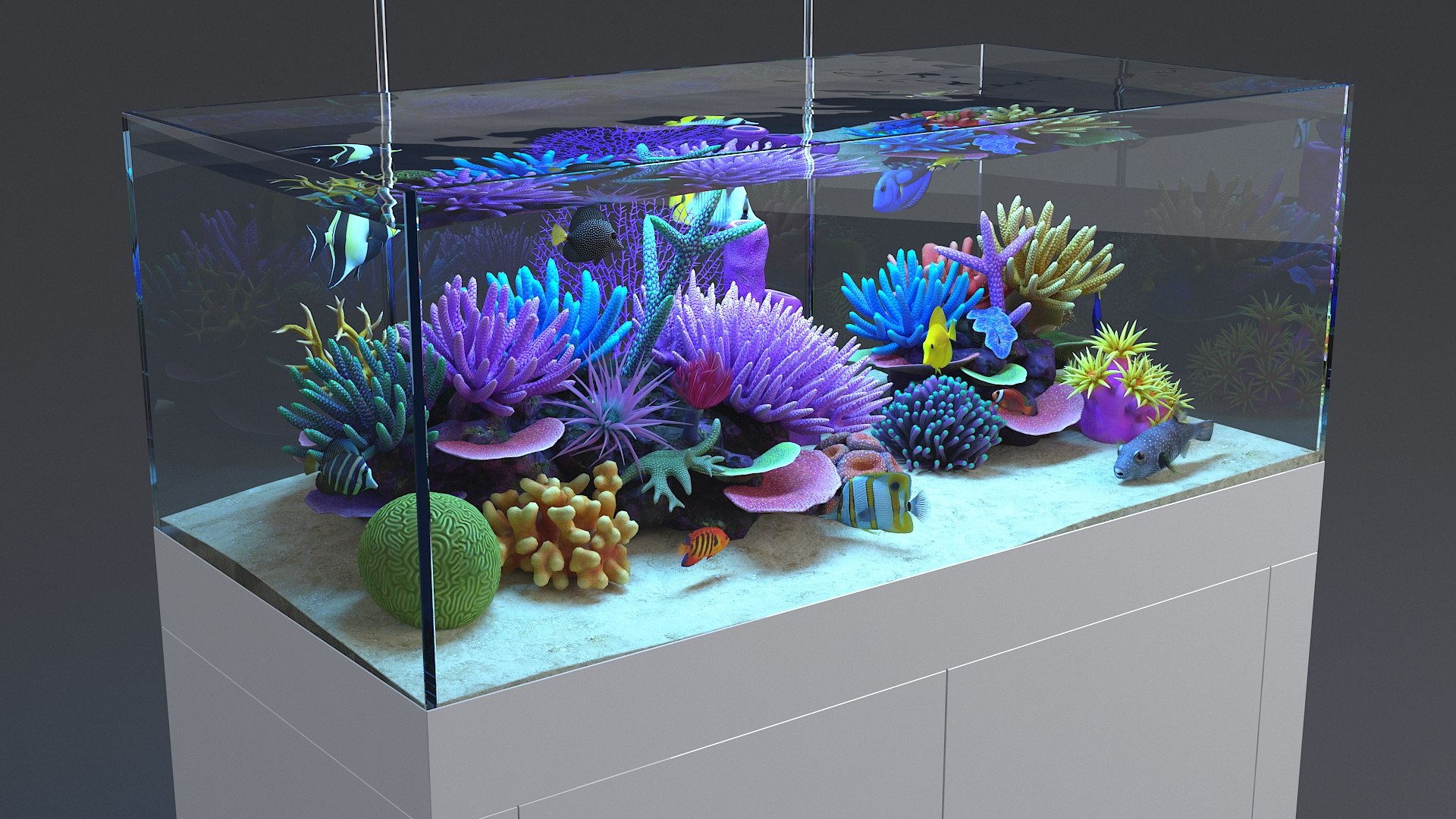 3D aquarium 01 model https://p.turbosquid.com/ts-thumb/Me/ceiJtP/LTjB6H2g/aquafirst_09/jpg/1579855667/1920x1080/fit_q87/2793341944dd5ff904761ceffc63118c0fa46157/aquafirst_09.jpg
