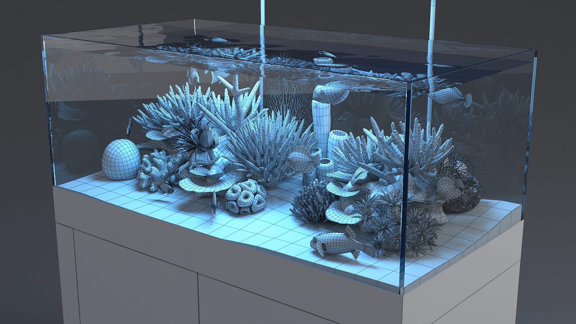 3D aquarium 01 model https://p.turbosquid.com/ts-thumb/Me/ceiJtP/Pkx89poY/aquafirst_24/jpg/1579855668/1920x1080/fit_q87/d5bd0617457068b0463710cd88783ce028bed75a/aquafirst_24.jpg