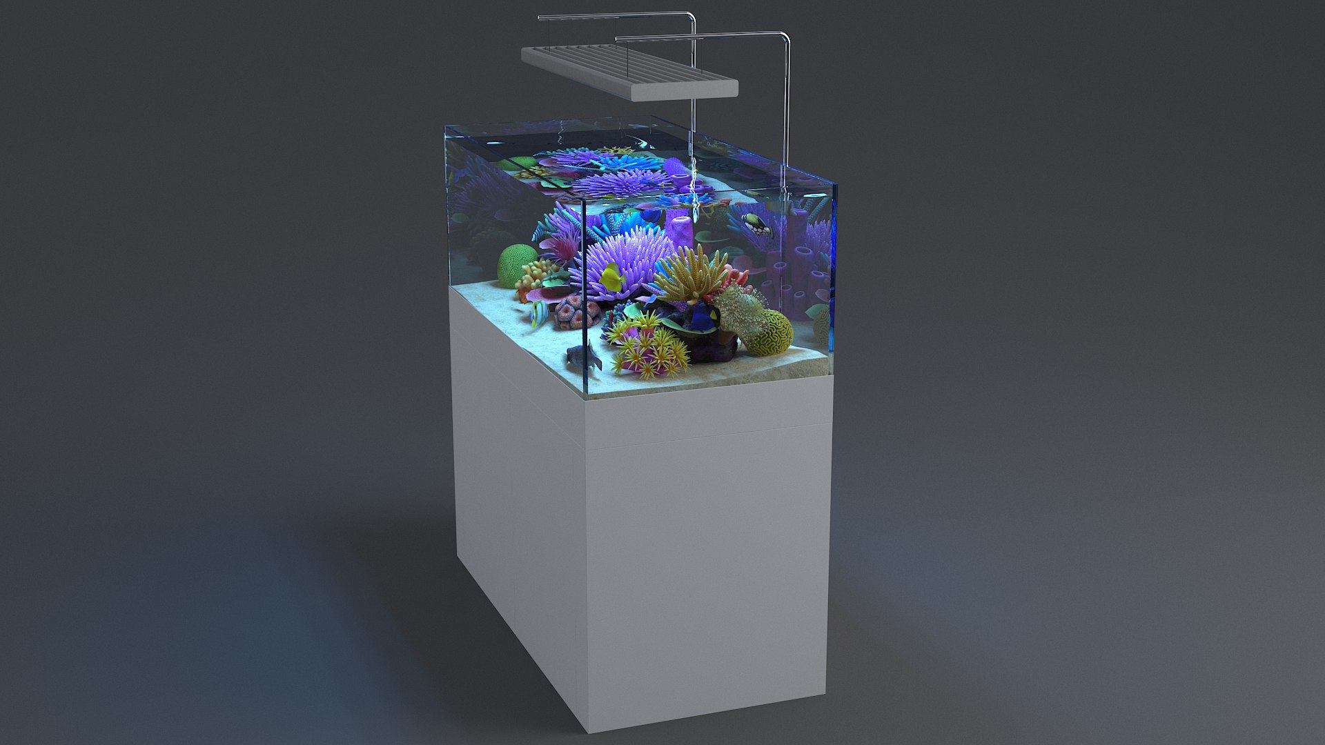 3D aquarium 01 model https://p.turbosquid.com/ts-thumb/Me/ceiJtP/Q2YQac86/aquafirst_05/jpg/1579855667/1920x1080/fit_q87/dbb17c0704daadf26b38be270dcb5947a82370b4/aquafirst_05.jpg