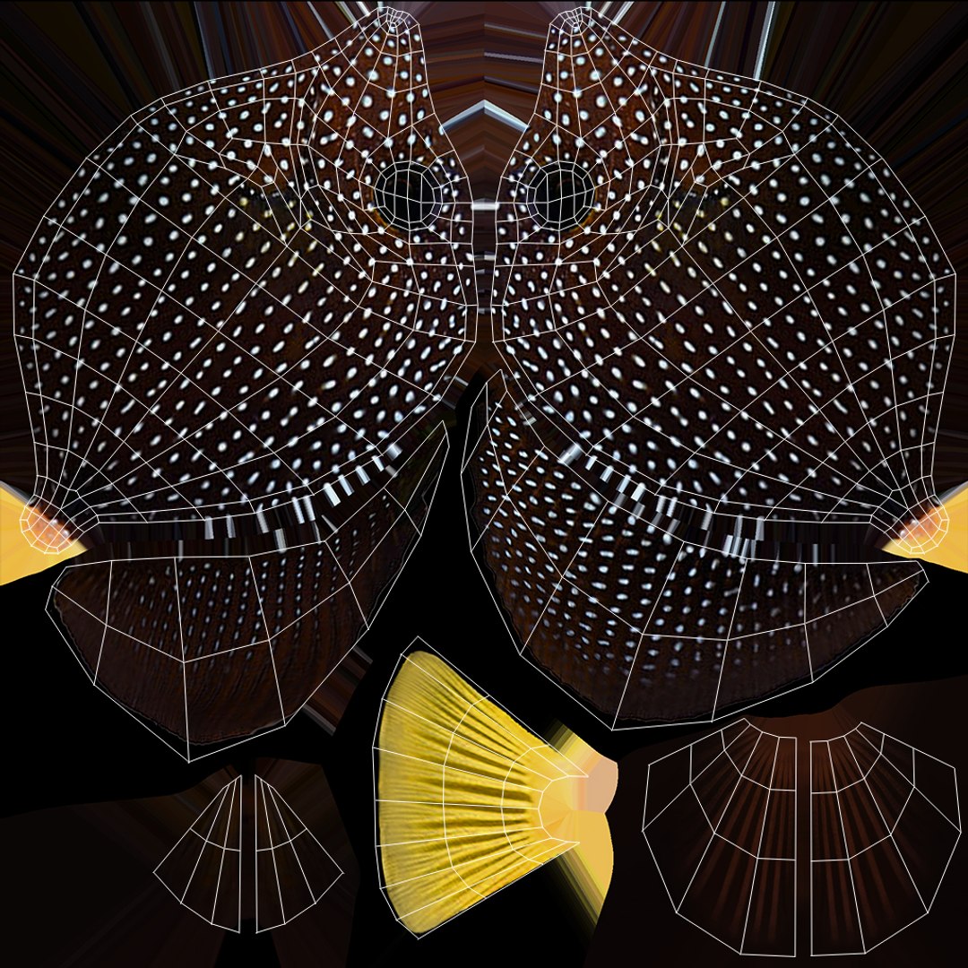 3D aquarium 01 model https://p.turbosquid.com/ts-thumb/Me/ceiJtP/RN3kTDHd/xuvs_fish_01_2/jpg/1579855669/1920x1080/fit_q87/6bc1a5a23213964c3704b2d371294fc3abc3d311/xuvs_fish_01_2.jpg