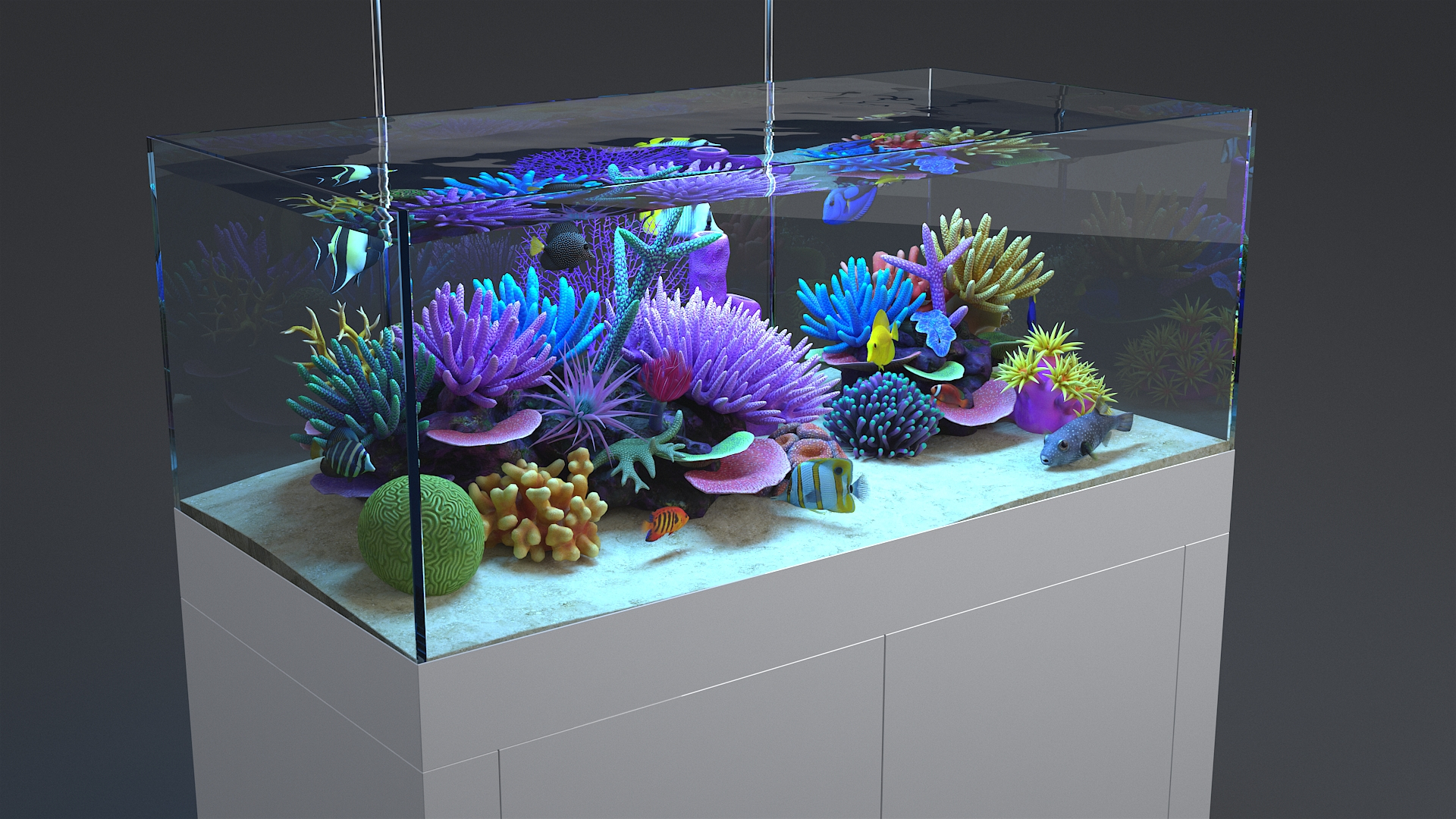3D aquarium 01 model https://p.turbosquid.com/ts-thumb/Me/ceiJtP/X28JIeux/aquafirsttbb/jpg/1579855651/1920x1080/turn_fit_q99/4c465ae35a112c90babb69efcd20d1b5082279de/aquafirsttbb-1.jpg