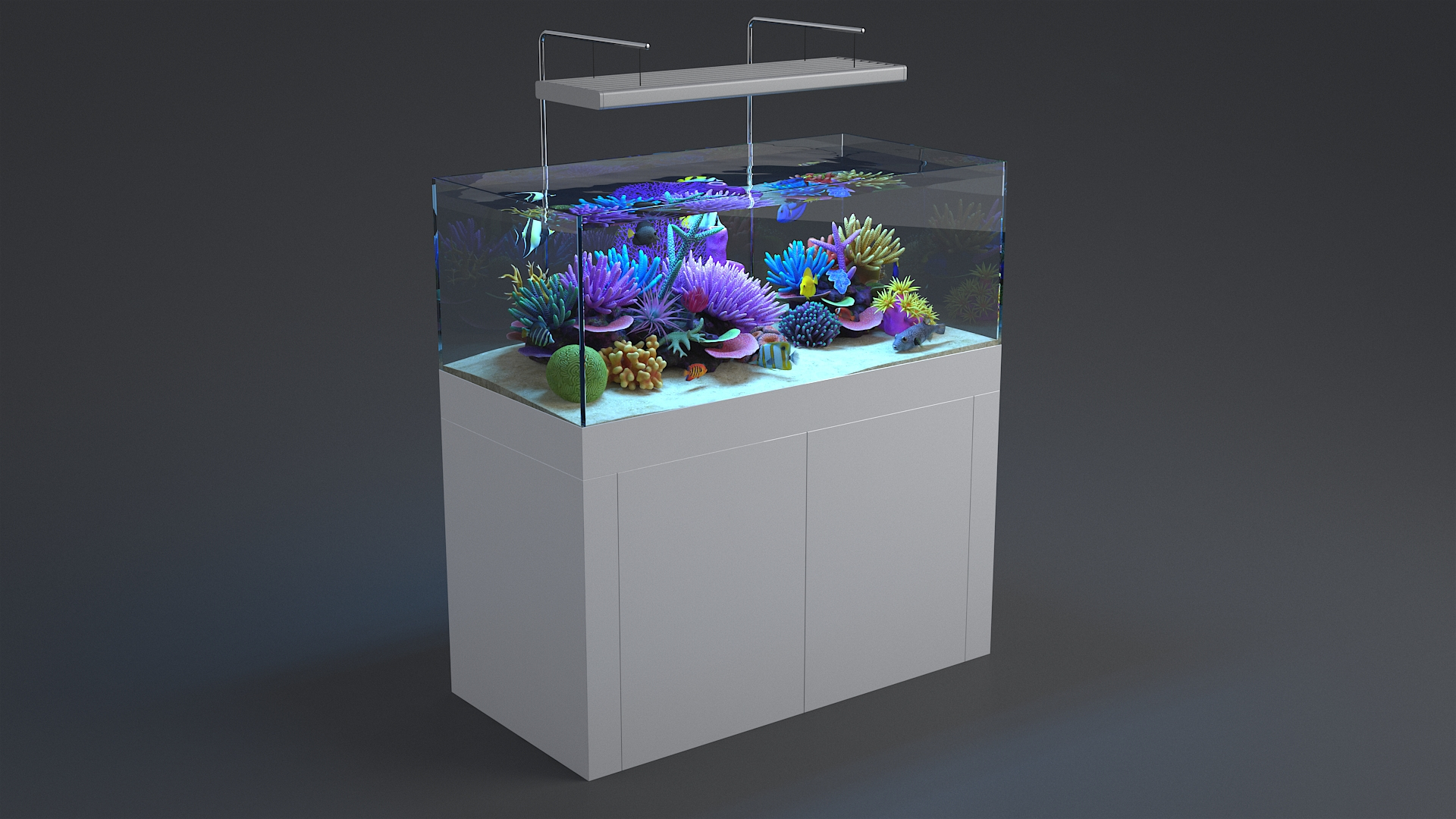 3D aquarium 01 model https://p.turbosquid.com/ts-thumb/Me/ceiJtP/YGFwxIZc/aquafirsttba/jpg/1579855255/1920x1080/turn_fit_q99/63b5e6b6abb8b739ed1404e1dd3deb35c7ab89f2/aquafirsttba-1.jpg
