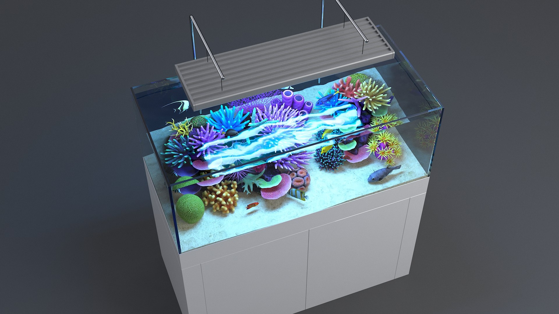 3D aquarium 01 model https://p.turbosquid.com/ts-thumb/Me/ceiJtP/r6EptiBO/aquafirst_08/jpg/1579855667/1920x1080/fit_q87/af484eb9c174fe0804f2da0faff2d0712a85e3a2/aquafirst_08.jpg