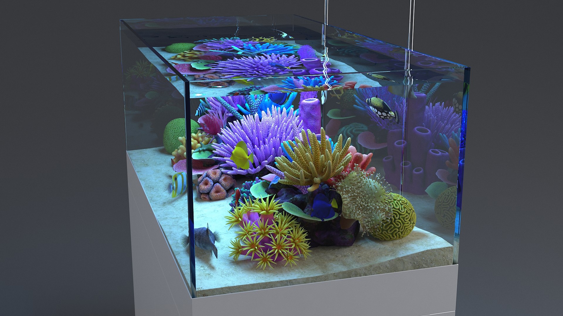 3D aquarium 01 model https://p.turbosquid.com/ts-thumb/Me/ceiJtP/wqaUtMBE/aquafirst_12/jpg/1579855668/1920x1080/fit_q87/60754229259782dc3b5d5ae47d375eed666d3ddc/aquafirst_12.jpg