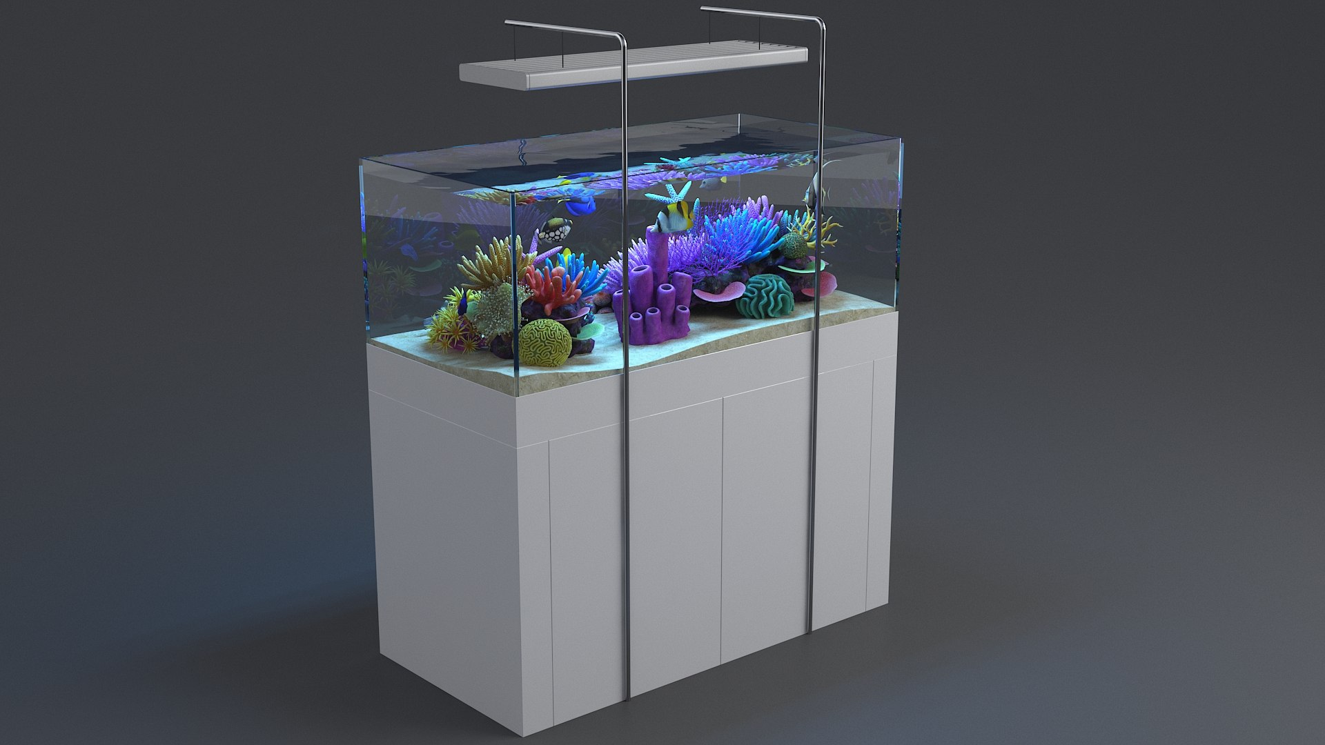 3D aquarium 01 model https://p.turbosquid.com/ts-thumb/Me/ceiJtP/yHCYpRdB/aquafirst_06/jpg/1579855667/1920x1080/fit_q87/e4b0a57831ad7d7976be06e7f7827f4248213888/aquafirst_06.jpg