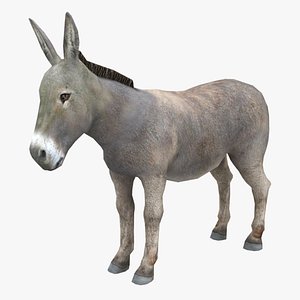 3ds max rigged donkey