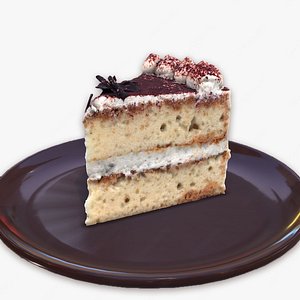 A Slice Of Tiramisu Cake