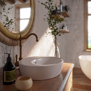 3D rustic bathroom model