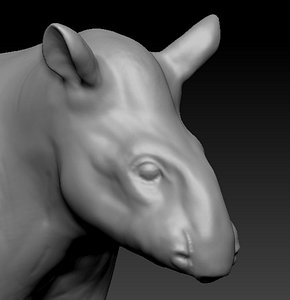 south tapir 3D