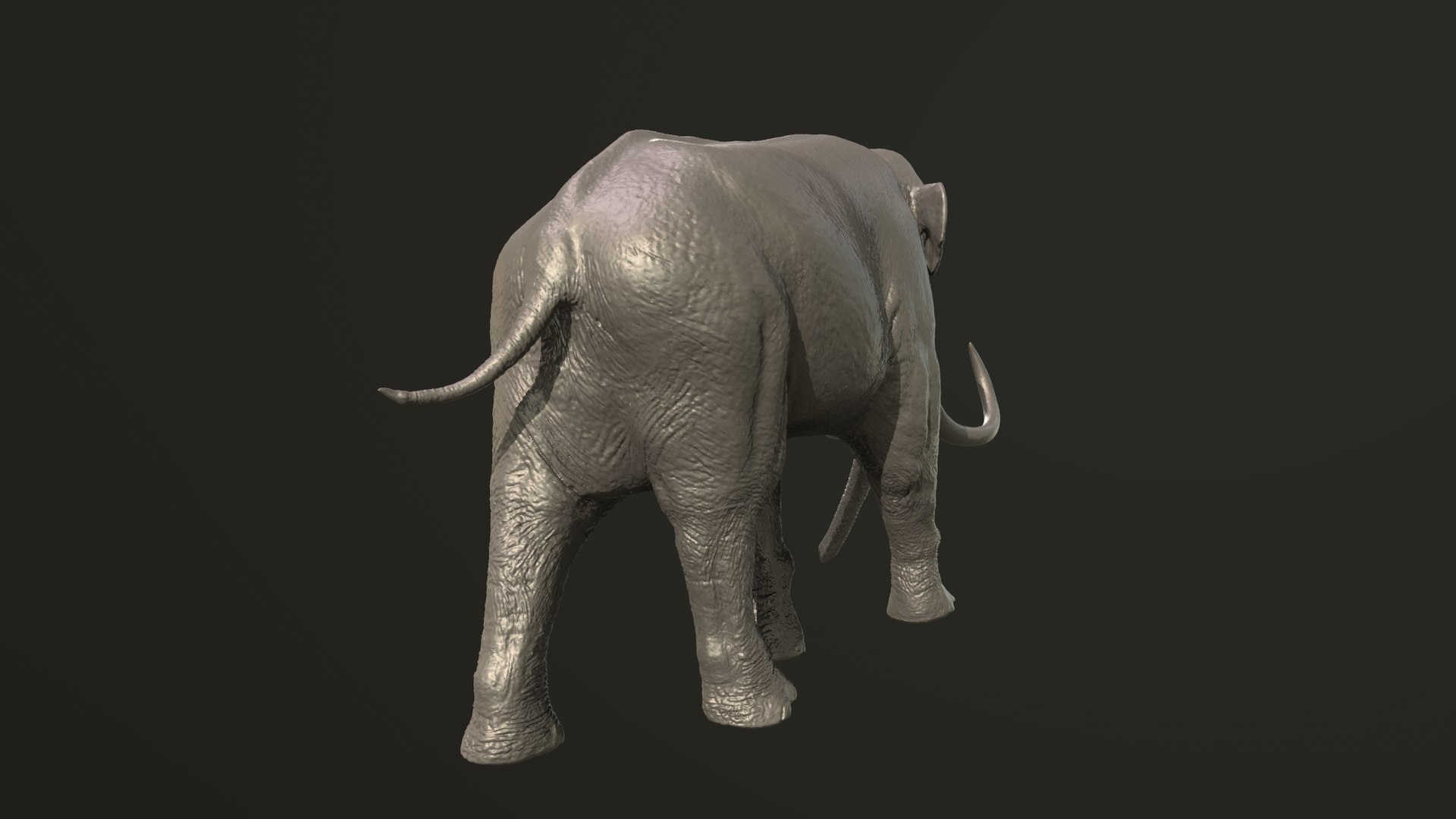 Collection of 10 extinct elephantoid proboscidean 3D print models 3D model https://p.turbosquid.com/ts-thumb/Me/yXwAth/C9/6/png/1642434675/1920x1080/fit_q87/6328f61881797dac18b6182c3c9e4495fb302d2e/6.jpg