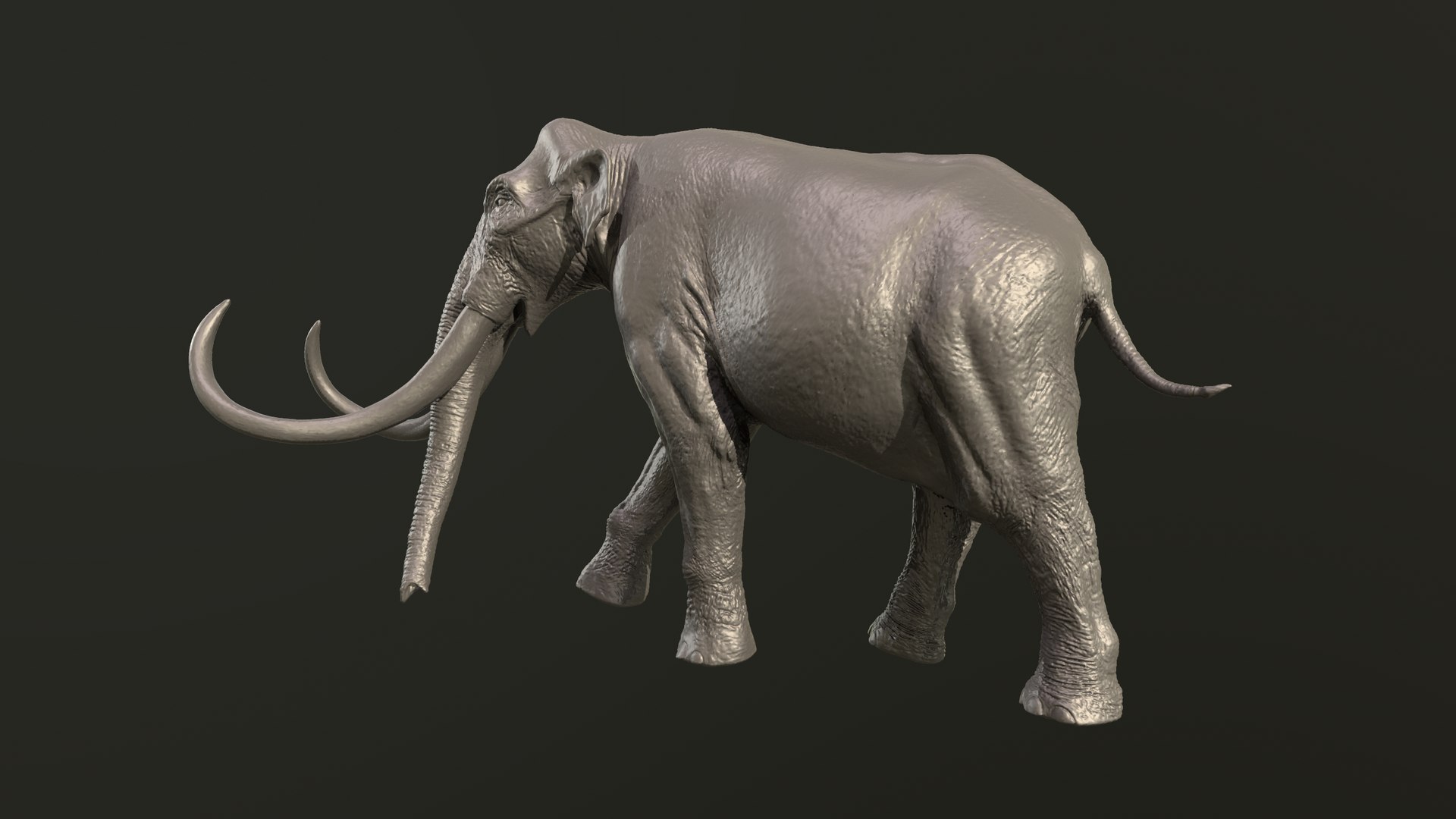 Collection of 10 extinct elephantoid proboscidean 3D print models 3D model https://p.turbosquid.com/ts-thumb/Me/yXwAth/HK/7/png/1642434669/1920x1080/fit_q87/f476ffa025dfa3a2a2e20ea90b408769477a07b9/7.jpg