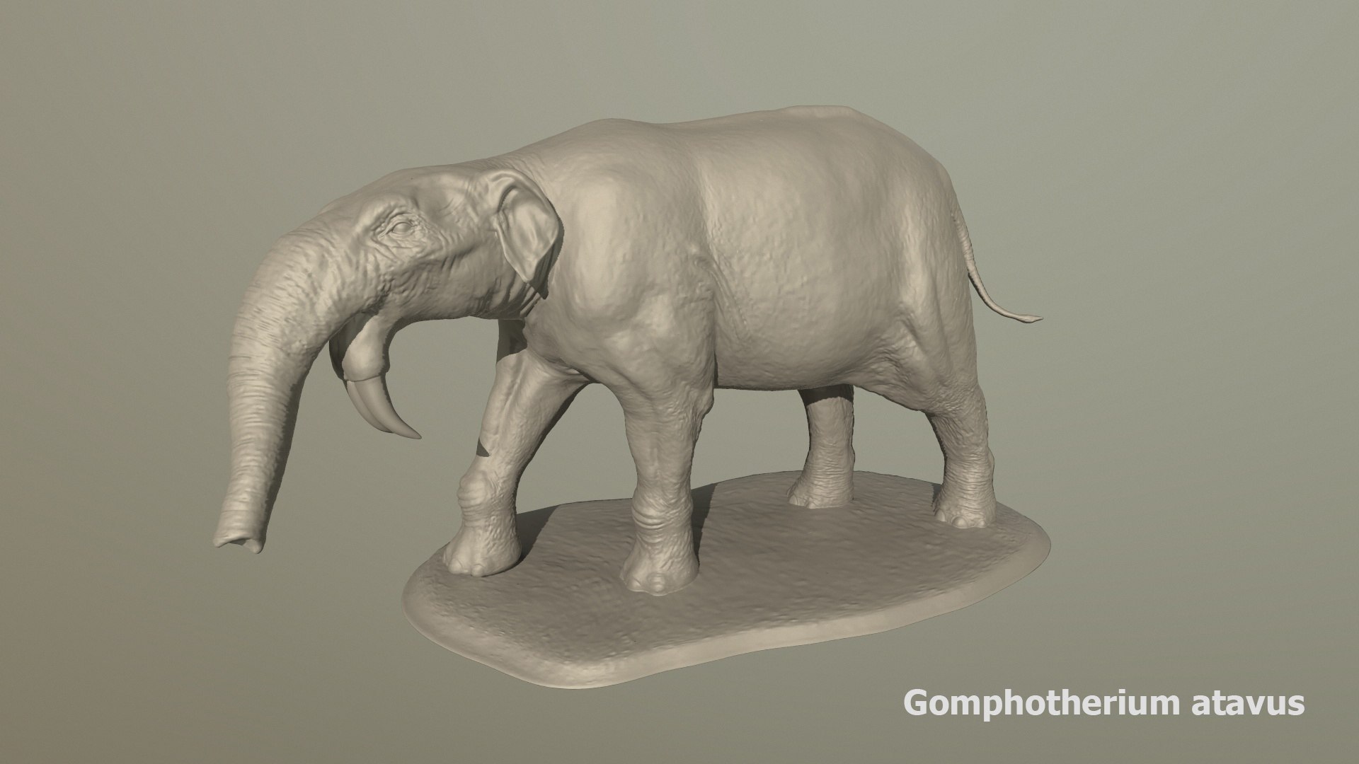 Collection of 10 extinct elephantoid proboscidean 3D print models 3D model https://p.turbosquid.com/ts-thumb/Me/yXwAth/Jz/55/jpg/1642434597/1920x1080/fit_q87/052aa194d19f6799b088df72e6956b2f1ccf6006/55.jpg