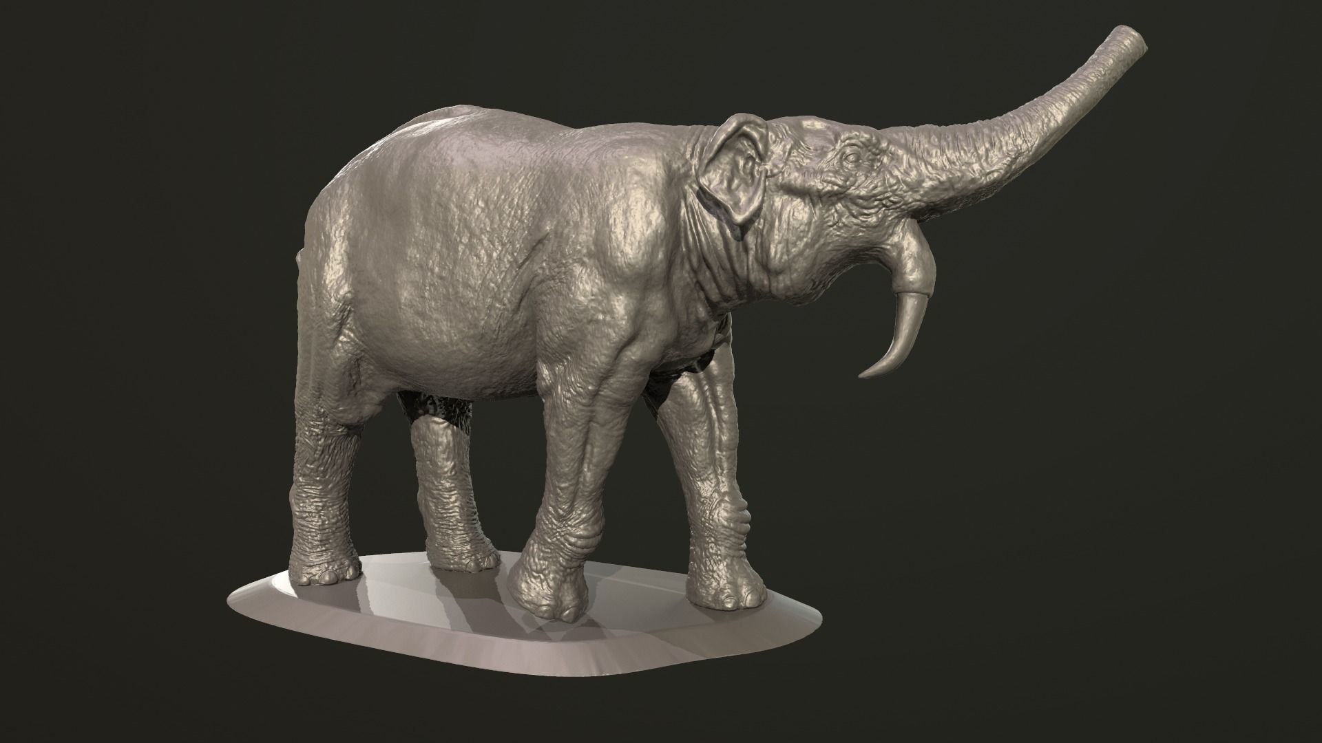 Collection of 10 extinct elephantoid proboscidean 3D print models 3D model https://p.turbosquid.com/ts-thumb/Me/yXwAth/PY/12/jpg/1642434592/1920x1080/fit_q87/ac42ef2a5caf6b48d5de7f7817a2628dcff8847f/12.jpg
