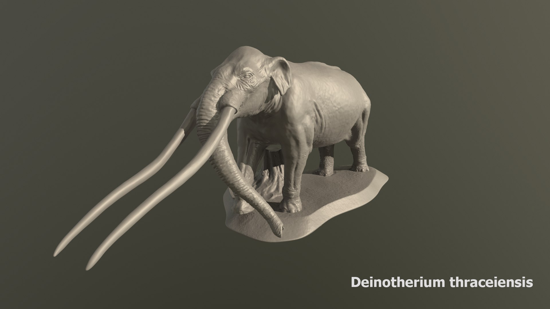 Collection of 10 extinct elephantoid proboscidean 3D print models 3D model https://p.turbosquid.com/ts-thumb/Me/yXwAth/aq/14/png/1642434602/1920x1080/fit_q87/0c6c118be338dda16f903dcc3687806c10552d8e/14.jpg