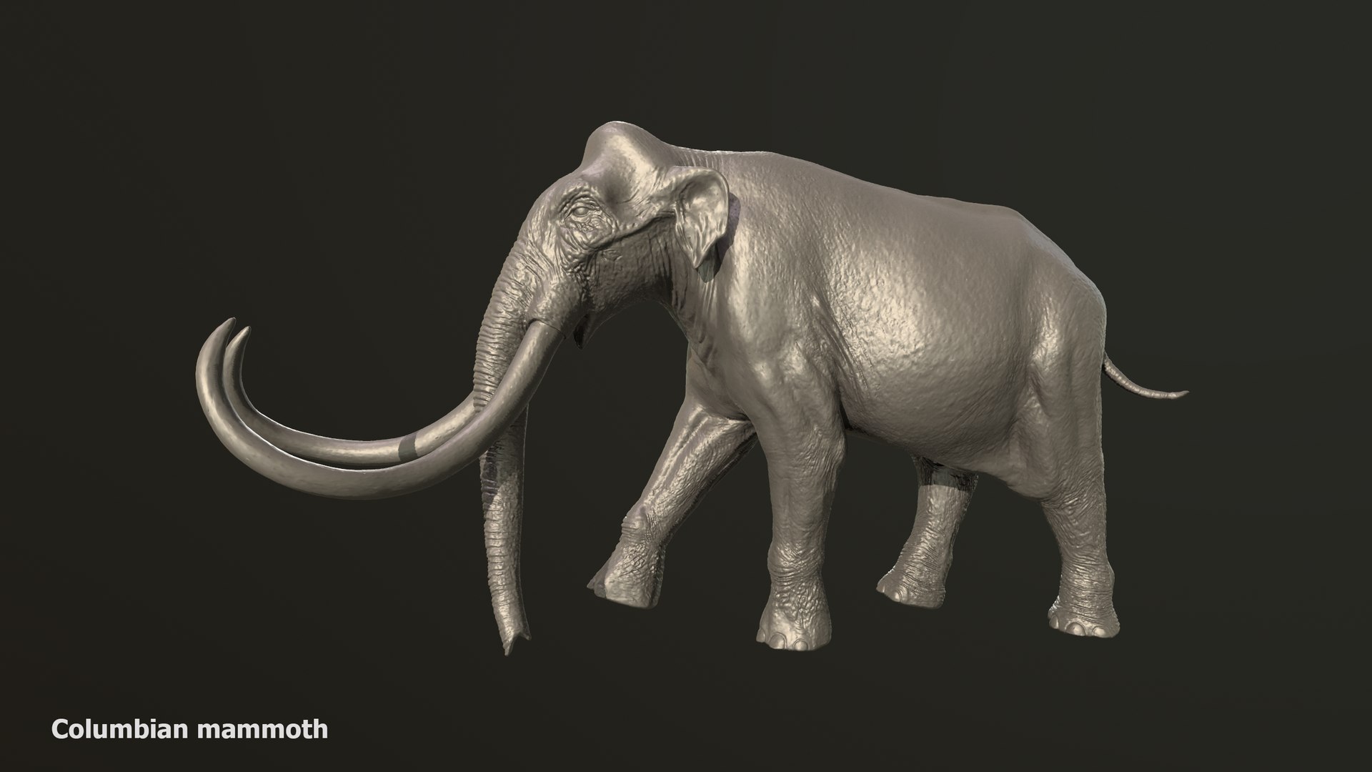 Collection of 10 extinct elephantoid proboscidean 3D print models 3D model https://p.turbosquid.com/ts-thumb/Me/yXwAth/lC/1/png/1642434591/1920x1080/fit_q87/8d95d7d5c7b19d27534b92beeffb7f871520ab7e/1.jpg