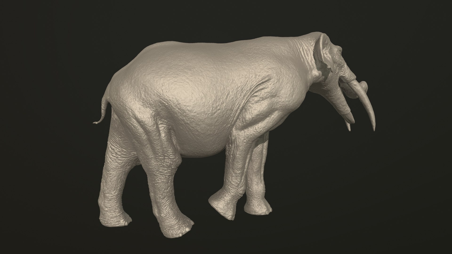 Collection of 10 extinct elephantoid proboscidean 3D print models 3D model https://p.turbosquid.com/ts-thumb/Me/yXwAth/lZ/70/jpg/1642434596/1920x1080/fit_q87/481a425ae0a28fe12916135f9b3c47629362926c/70.jpg