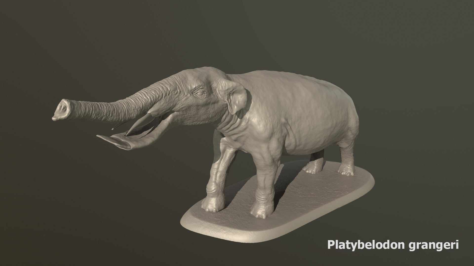 Collection of 10 extinct elephantoid proboscidean 3D print models 3D model https://p.turbosquid.com/ts-thumb/Me/yXwAth/qj/40/png/1642434607/1920x1080/fit_q87/298ce3d860c9e18292f20632cbcc04bcd4eb6587/40.jpg