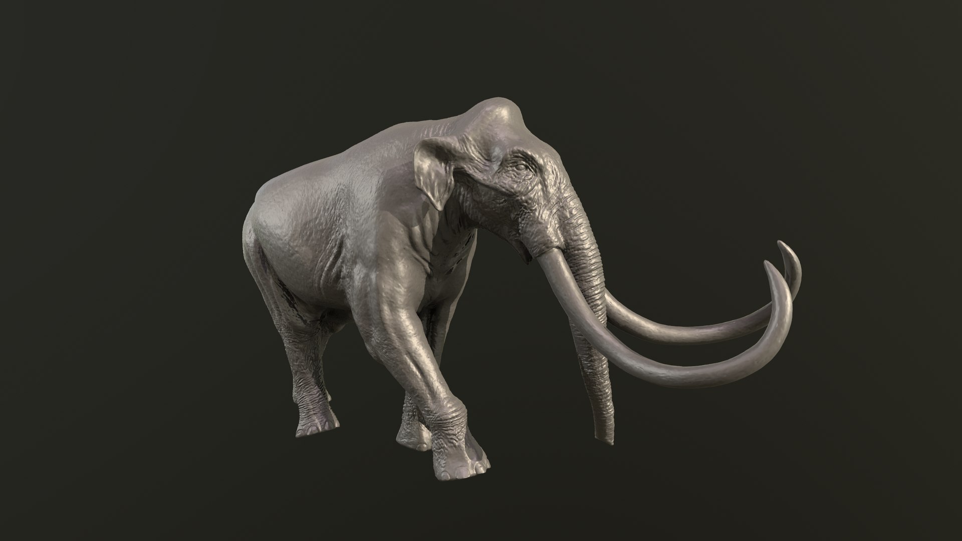 Collection of 10 extinct elephantoid proboscidean 3D print models 3D model https://p.turbosquid.com/ts-thumb/Me/yXwAth/qr/3/png/1642434660/1920x1080/fit_q87/2f582f7ba3860ee4245e3773090b544761388749/3.jpg