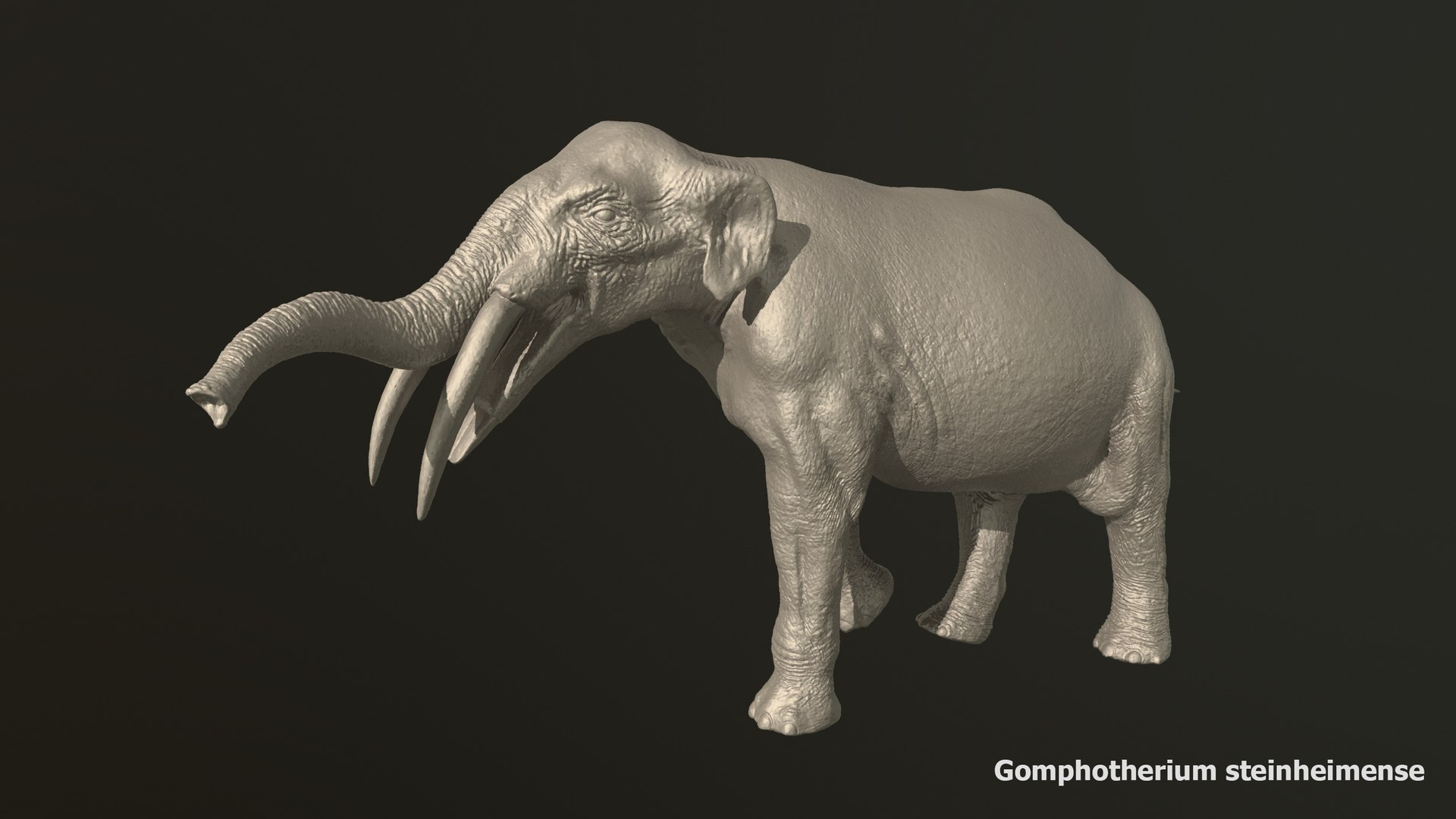 Collection of 10 extinct elephantoid proboscidean 3D print models 3D model https://p.turbosquid.com/ts-thumb/Me/yXwAth/sI/64/jpg/1642434598/1920x1080/fit_q87/58fc6222f2bfcfc622fb6ed158cceb00dde9cdb4/64.jpg