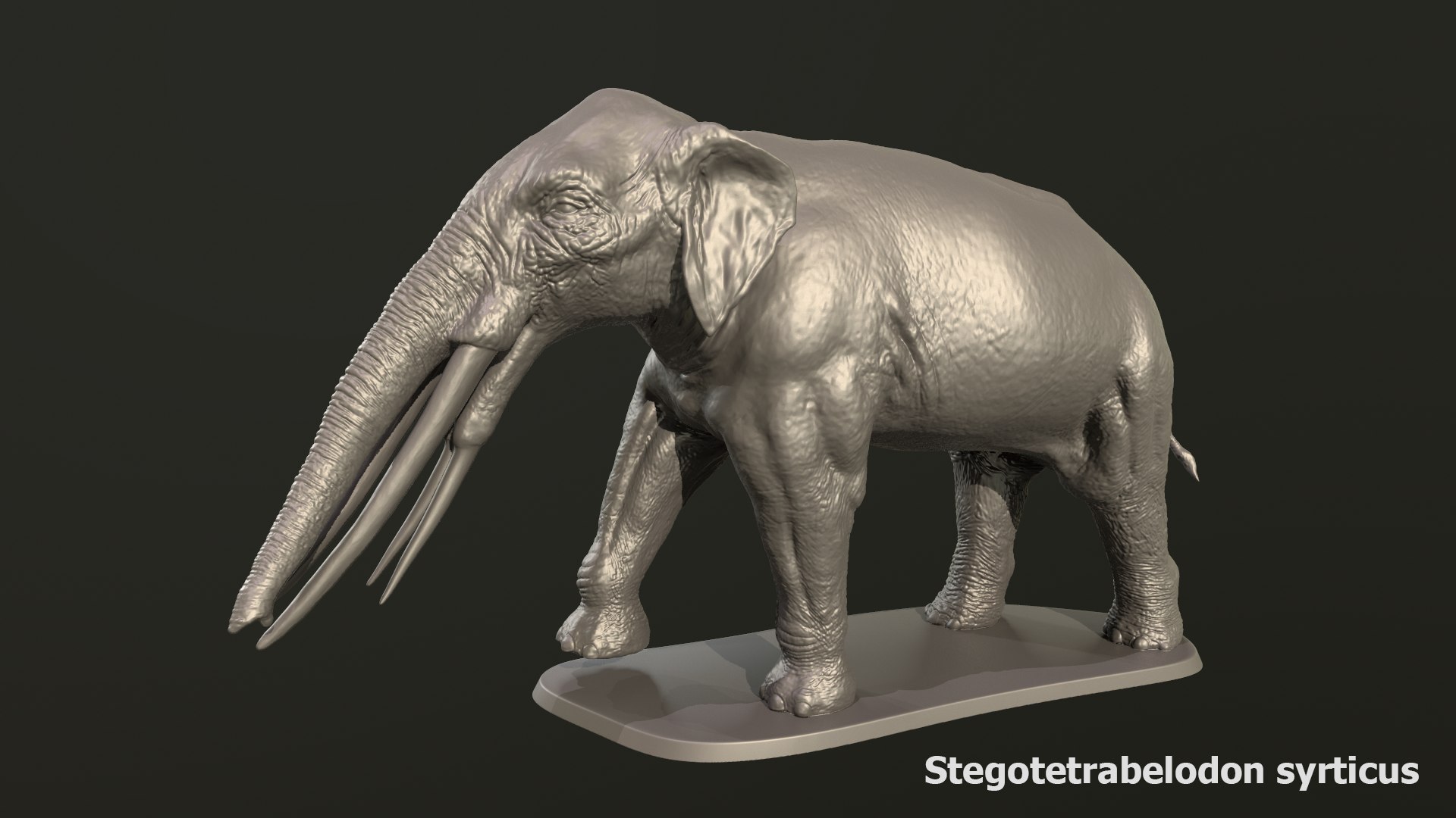 Collection of 10 extinct elephantoid proboscidean 3D print models 3D model https://p.turbosquid.com/ts-thumb/Me/yXwAth/sw/24/png/1642434607/1920x1080/fit_q87/9aa18d8575b95816259751787fc4c8b6ebcf9b30/24.jpg