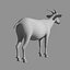 goat fur rigged 3d max