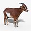 goat fur rigged 3d max