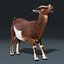 goat fur rigged 3d max