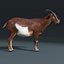 goat fur rigged 3d max