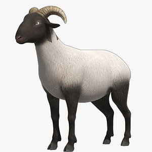 sheep Ram Ewe goat 3D model