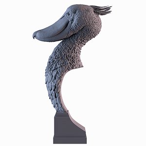 Shoebill