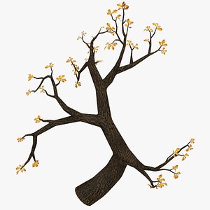 Branch of Oak