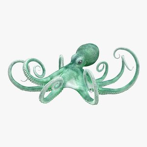 blue octopus rigged 3D model