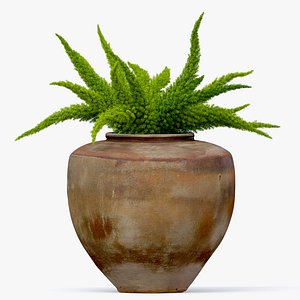 Foxtail fern in planter 3D