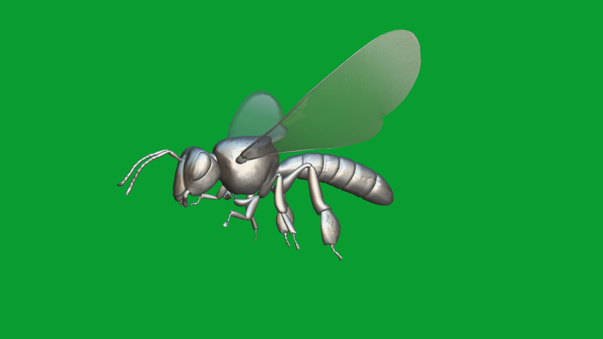 3D Tetragonisca Angustula Bee https://p.turbosquid.com/ts-thumb/Mf/pHx3Bd/2p/angelita_bee18/png/1778427794/1920x1080/fit_q87/9747258b53d79ec32116f1f6e8b60d237869e4ea/angelita_bee18.jpg