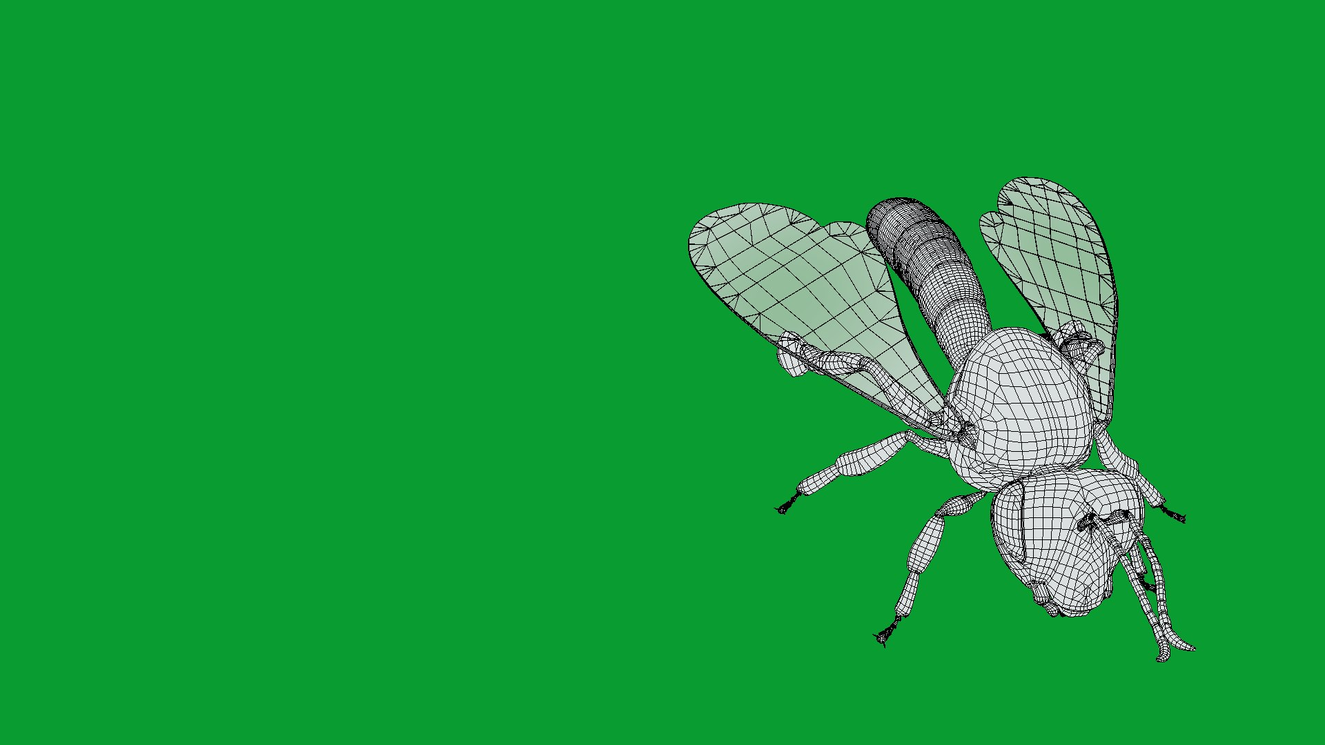 3D Tetragonisca Angustula Bee https://p.turbosquid.com/ts-thumb/Mf/pHx3Bd/Ft/angelita_bee22/png/1778427798/1920x1080/fit_q87/cace12d1a3b6b2154f7a3d0829dc455786a701a9/angelita_bee22.jpg