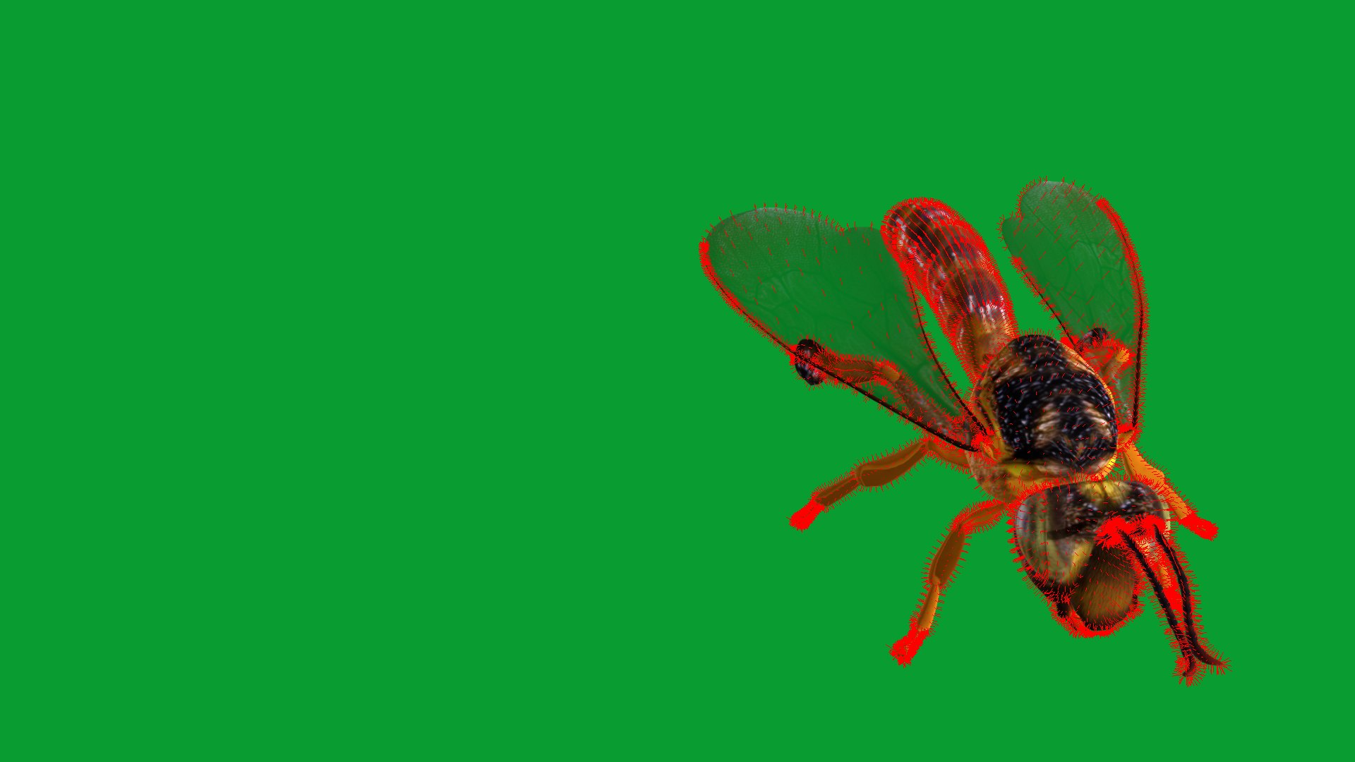 3D Tetragonisca Angustula Bee https://p.turbosquid.com/ts-thumb/Mf/pHx3Bd/Gv/angelita_bee23/png/1778427805/1920x1080/fit_q87/6051d1267375379a24e2b5570da4a1bcc8278e00/angelita_bee23.jpg