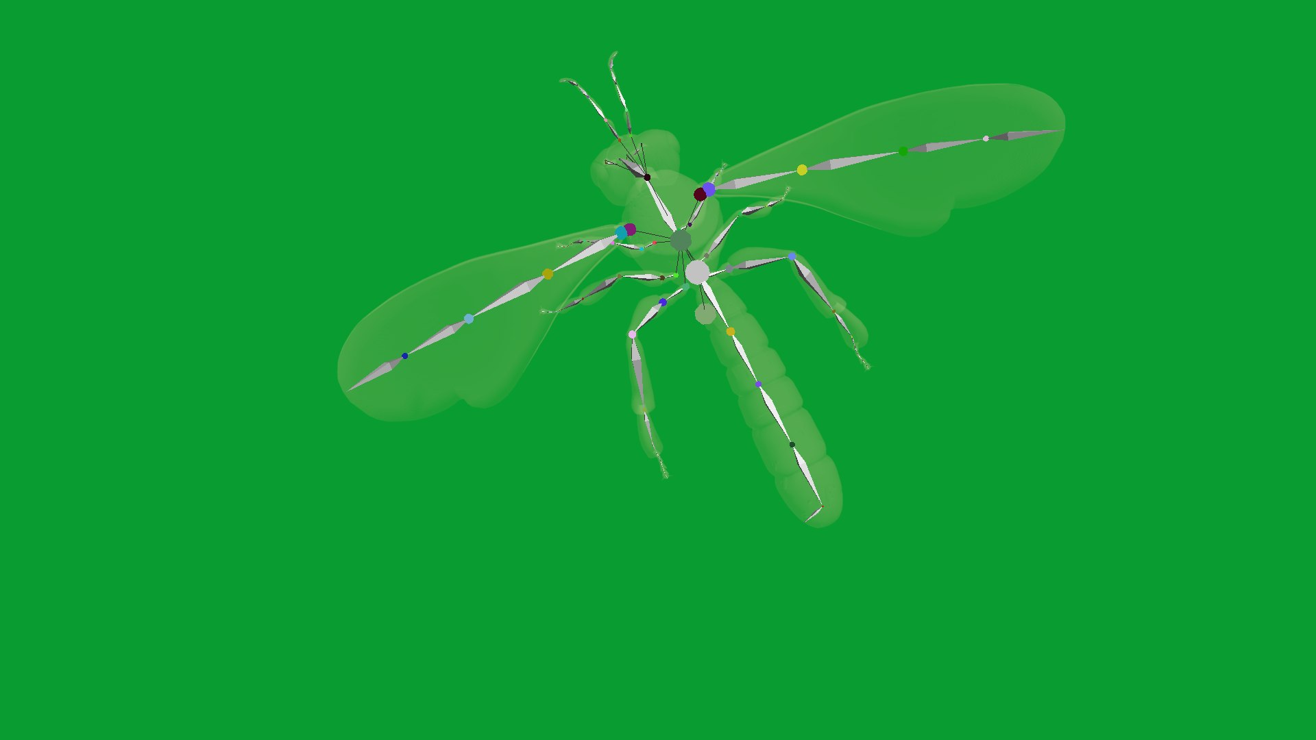 3D Tetragonisca Angustula Bee https://p.turbosquid.com/ts-thumb/Mf/pHx3Bd/J0/angelita_bee5/png/1778427779/1920x1080/fit_q87/c1bff7c2cfed229d6206b5a1e14988a19c97b229/angelita_bee5.jpg