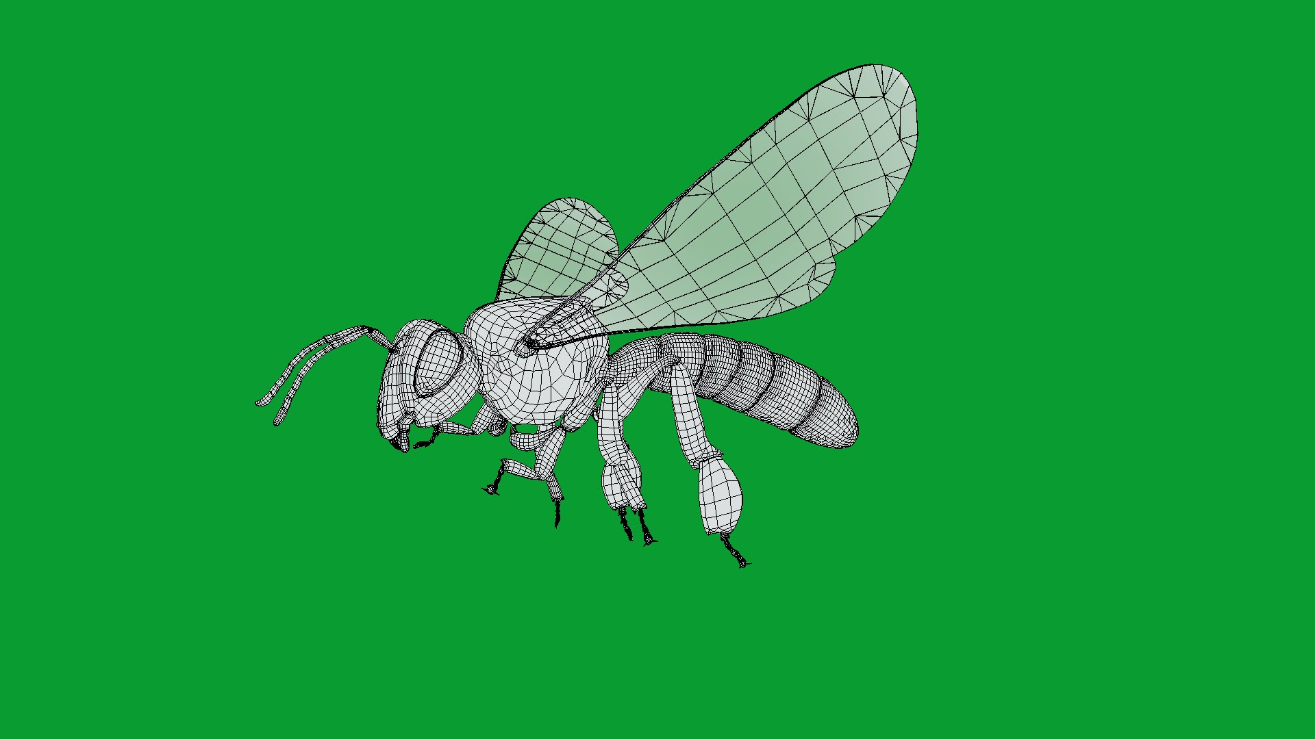 3D Tetragonisca Angustula Bee https://p.turbosquid.com/ts-thumb/Mf/pHx3Bd/P8/angelita_bee19/png/1778427796/1920x1080/fit_q87/1ca7a9810888abaa0d94e030e76fd6384c5c4b24/angelita_bee19.jpg