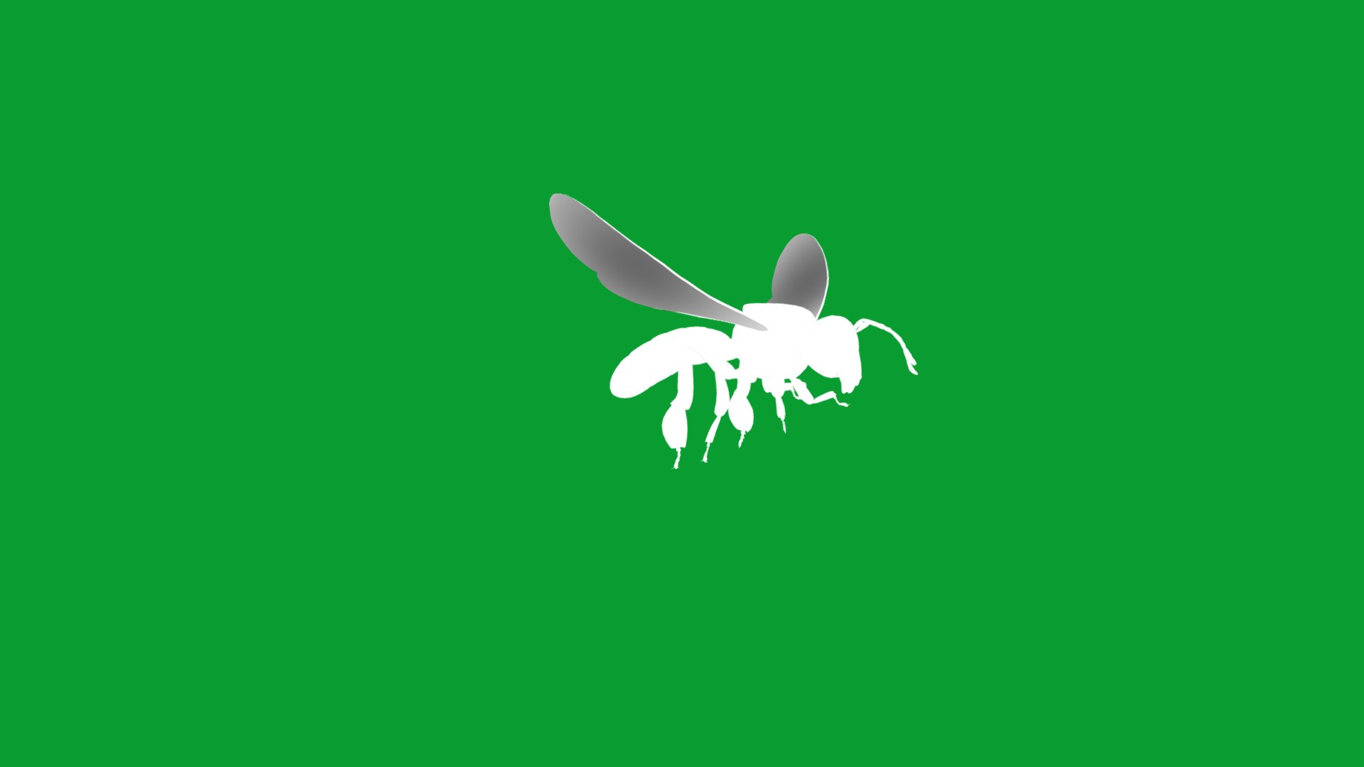 3D Tetragonisca Angustula Bee https://p.turbosquid.com/ts-thumb/Mf/pHx3Bd/Qg/angelita_bee15/png/1778427788/1920x1080/fit_q87/3534ef09cc19b42da1a17e94817382e7f5dc9d2c/angelita_bee15.jpg